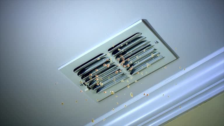 Best Local Air Duct Cleaning Services  in Belvedere, CA